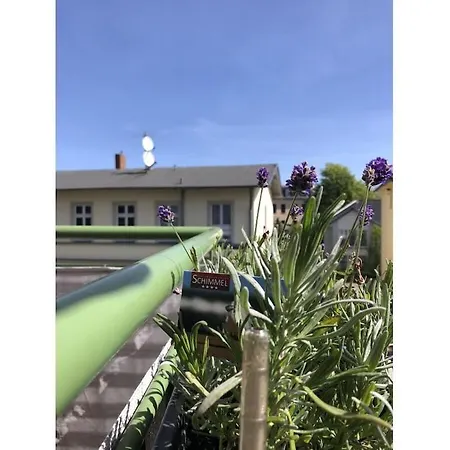 With 2 Bedrooms * Heringsdorf (Usedom)